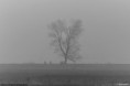 /album/kop-van-overijssel/img-0236-2-jpg/